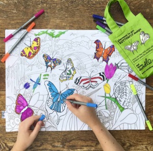 butterfly placemat to go - colour in &amp; learn